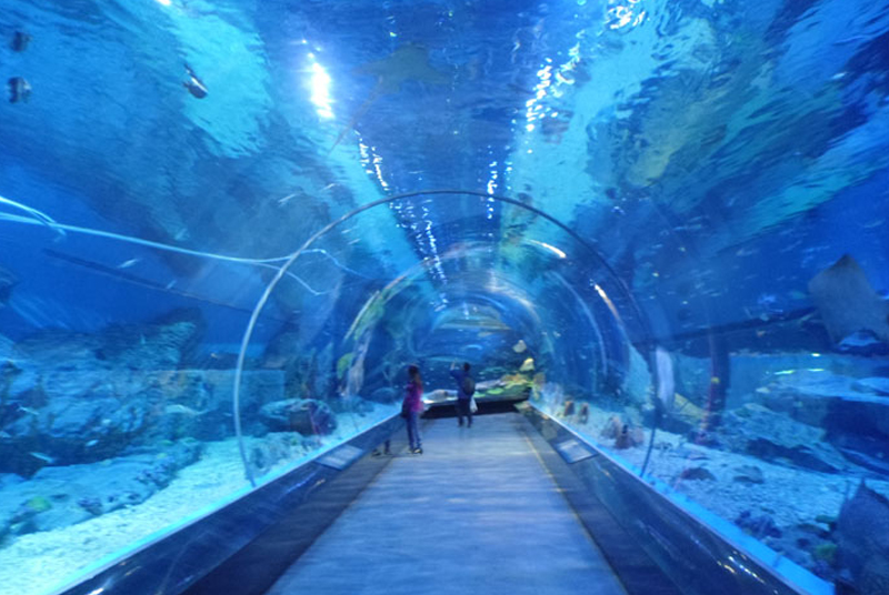 <b>水族工程，就選米樂</b>