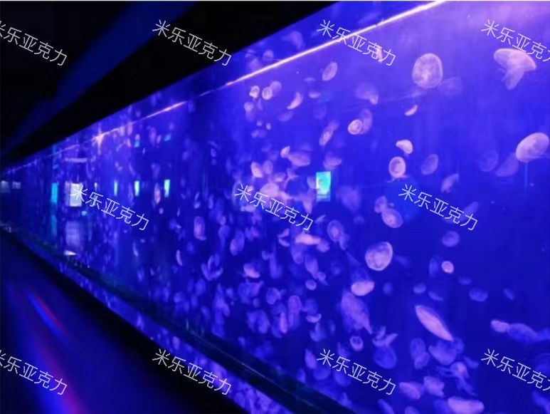 廈門水族館水母