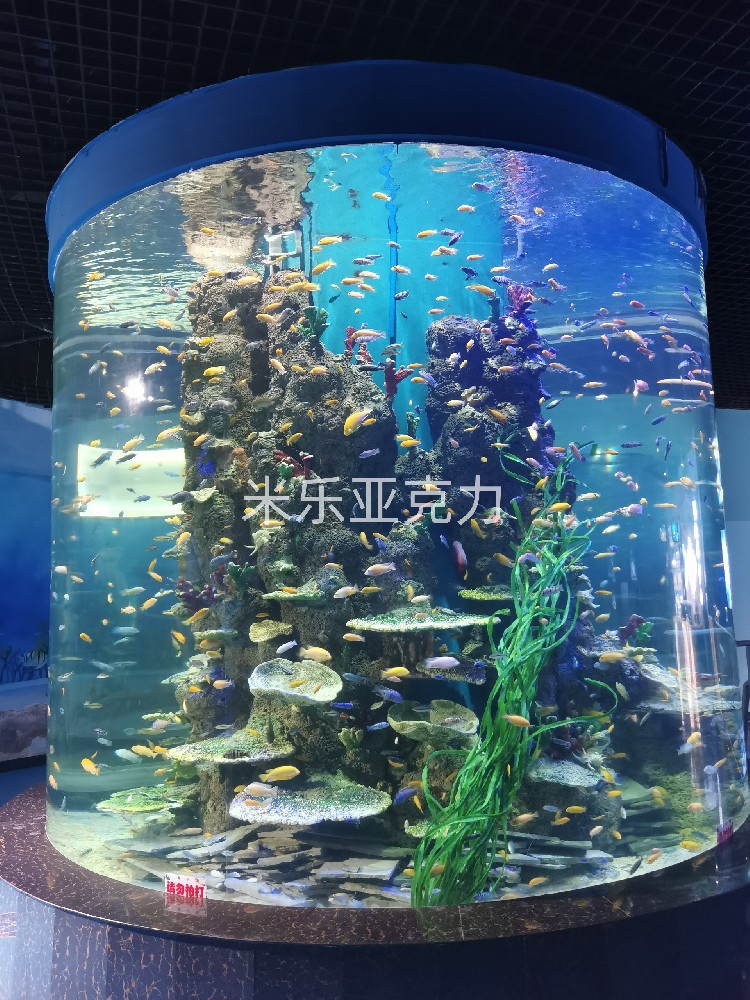 <b>亞克力魚缸：為何是養(yǎng)魚的不二選擇？</b>